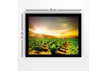 Inramad Canvastavla i trä - 41x56 cm - Vacker vinodling under en soluppgång - Grön / Gul / Orange - Inredning - Tavlor & posters - Canvastavla