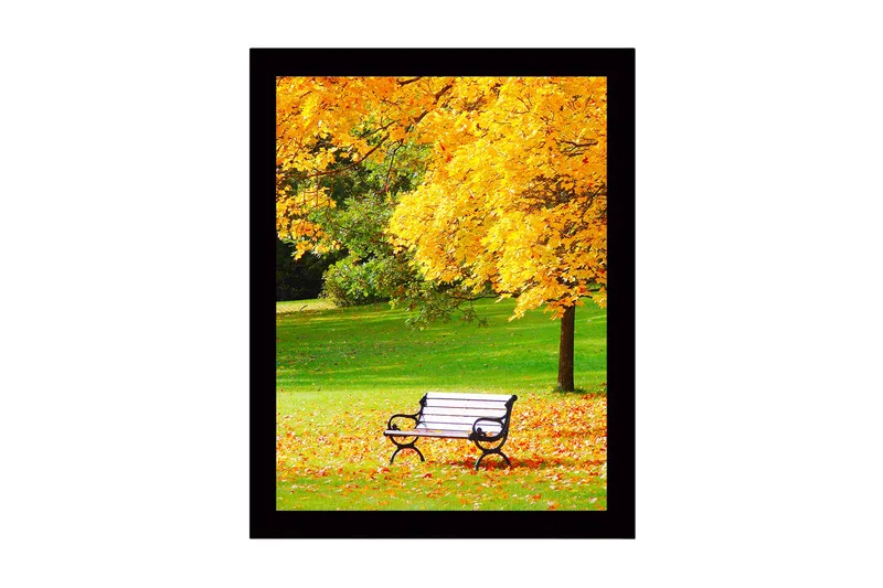 Inramad Canvastavla i trä - 41x56 cm - Vacker parkbänk omgiven av gyllene höstlöv - Guld / Grön / Svart - Inredning - Tavlor & posters - Canvastavla