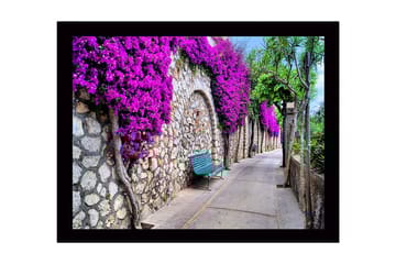 Inramad Canvastavla i trä - 41x56 cm - Vacker promenad med bougainvillea som pryder en stenmur - Lila / Grön / Beige - Inredning - Tavlor & posters - Canvastavla