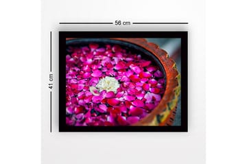 Inramad Canvastavla i trä - 41x56 cm - Vit blomma omgiven av rosa rosenblad i en skål - Rosa / Vit - Inredning - Tavlor & posters - Canvastavla