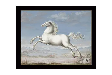 Inramad Canvastavla i trä - 41x56 cm - Vit häst i språng mot en blå himmel - Vit / Blå / Beige - Inredning - Tavlor & posters - Canvastavla