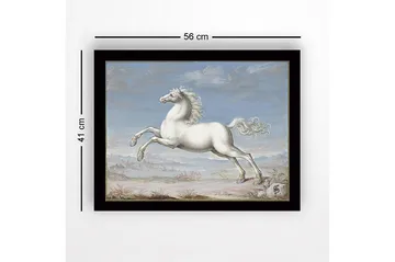 Inramad Canvastavla i trä - 41x56 cm - Vit häst i språng mot en blå himmel - Vit / Blå / Beige - Inredning - Tavlor & posters - Canvastavla