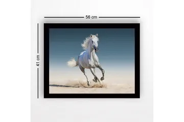 Inramad Canvastavla i trä - 41x56 cm - Vit häst som galopperar genom sanden - Vit / Beige / Blå - Inredning - Tavlor & posters - Canvastavla