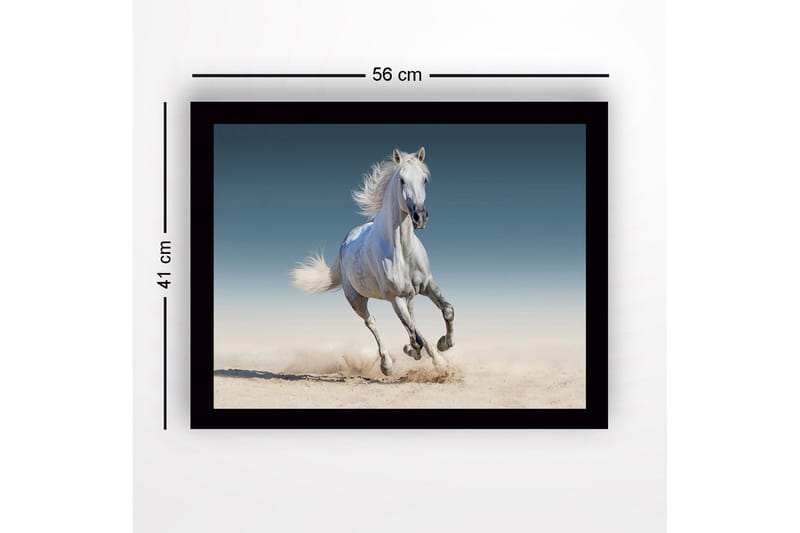 Inramad Canvastavla i trä - 41x56 cm - Vit häst som galopperar genom sanden - Vit / Beige / Blå - Inredning - Tavlor & posters - Canvastavla