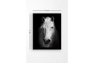 Inramad Canvastavla i trä - 41x56 cm - Porträtt av en vit häst med starka kontraster - Vit / Svart - Inredning - Tavlor & posters - Canvastavla