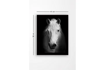Inramad Canvastavla i trä - 41x56 cm - Porträtt av en vit häst med starka kontraster - Vit / Svart - Inredning - Tavlor & posters - Canvastavla
