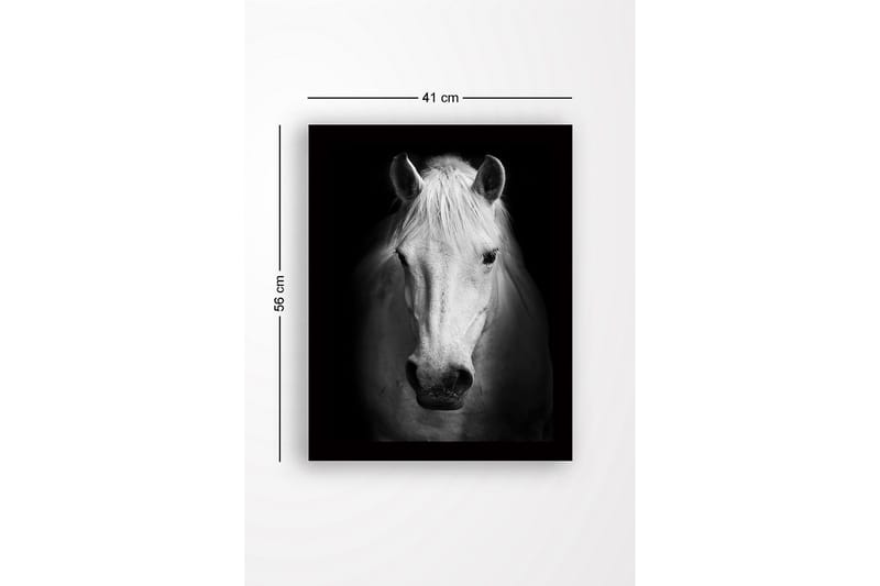 Inramad Canvastavla i trä - 41x56 cm - Porträtt av en vit häst med starka kontraster - Vit / Svart - Inredning - Tavlor & posters - Canvastavla