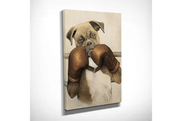 Liten Canvastavla 30x40 cm - Boxande hund med handskar - Brun / Beige / Vit - Inredning - Tavlor & posters - Canvastavla