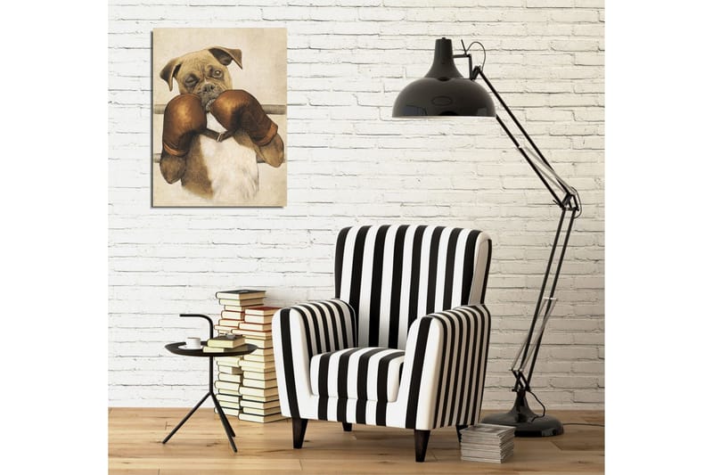 Liten Canvastavla 30x40 cm - Boxande hund med handskar - Brun / Beige / Vit - Inredning - Tavlor & posters - Canvastavla