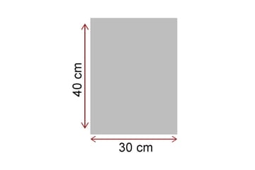 Liten Canvastavla 30x40 cm - Cyklande kvinna med blommor och höns på en cykel - Svart / Röd / Gul - Inredning - Tavlor & posters - Canvastavla