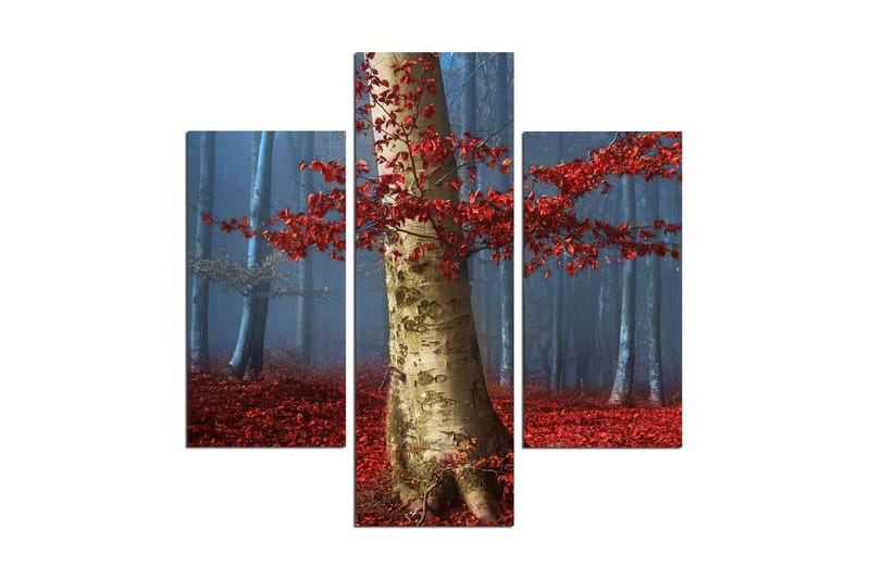 MDF-målning Dekorativ 3 Delar - Flerfärgad - Inredning - Tavlor & posters - Canvastavla
