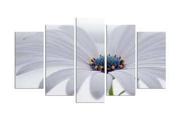 MDF-målning Dekorativ 5 Delar - Flerfärgad - Inredning - Tavlor & posters - Canvastavla