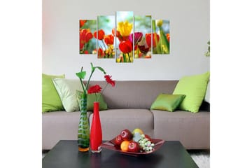 MDF-målning Dekorativ 5 Delar - Flerfärgad - Inredning - Tavlor & posters - Canvastavla