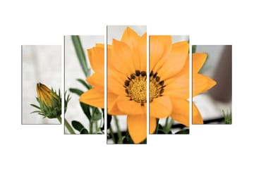 MDF-målning Dekorativ 5 Delar - Flerfärgad - Inredning - Tavlor & posters - Canvastavla