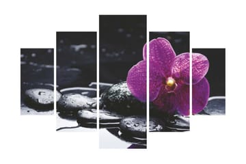 MDF-målning Dekorativ 5 Delar - Flerfärgad - Inredning - Tavlor & posters - Canvastavla