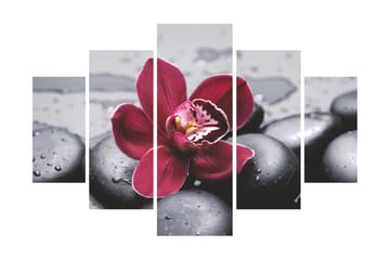 MDF-målning Dekorativ 5 Delar - Flerfärgad - Inredning - Tavlor & posters - Canvastavla