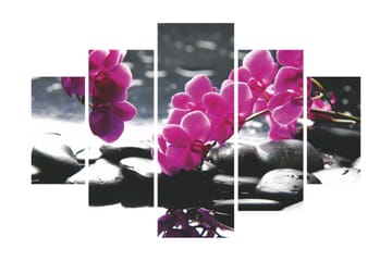 MDF-målning Dekorativ 5 Delar - Flerfärgad - Inredning - Tavlor & posters - Canvastavla