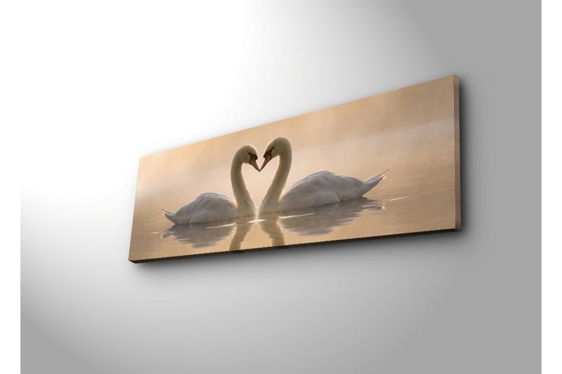Stor Canvastavla 90x30 cm - Två svanar som formar ett hjärta med sina halsar - Vit / Beige - Inredning - Tavlor & posters - Canvastavla