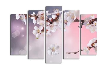 Stor Canvastavla i 5 delar 105x70 cm - Blommande körsbärsgren med vita blommor - Vit / Lila / Rosa - Inredning - Tavlor & posters - Canvastavla