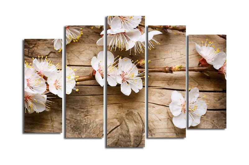 Stor Canvastavla i 5 delar 105x70 cm - Blommande kvistar med vita blommor - Vit / Gul / Brun - Inredning - Tavlor & posters - Canvastavla