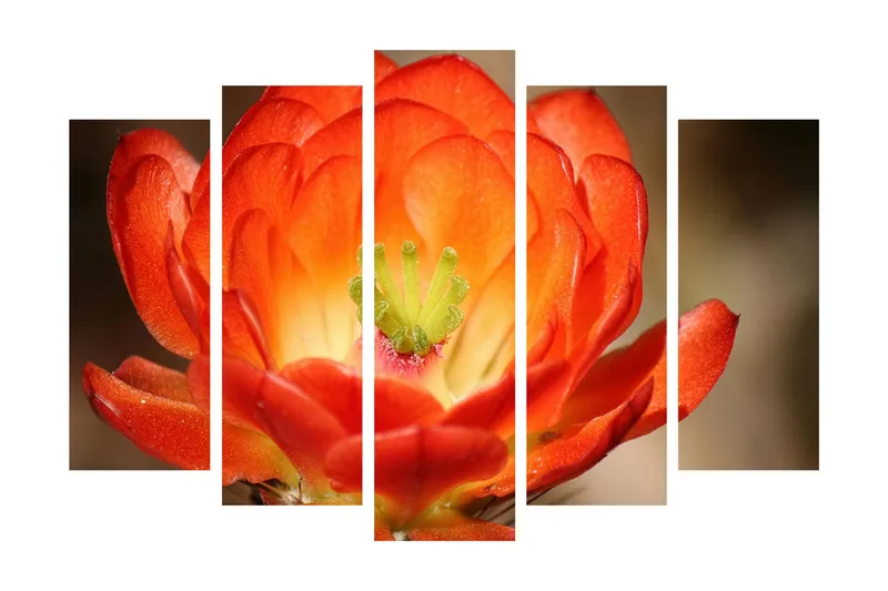 Stor Canvastavla i 5 delar 105x70 cm - Färgglad blomma med djup orangea och röda nyanser - Orange / Grön - Inredning - Tavlor & posters - Canvastavla