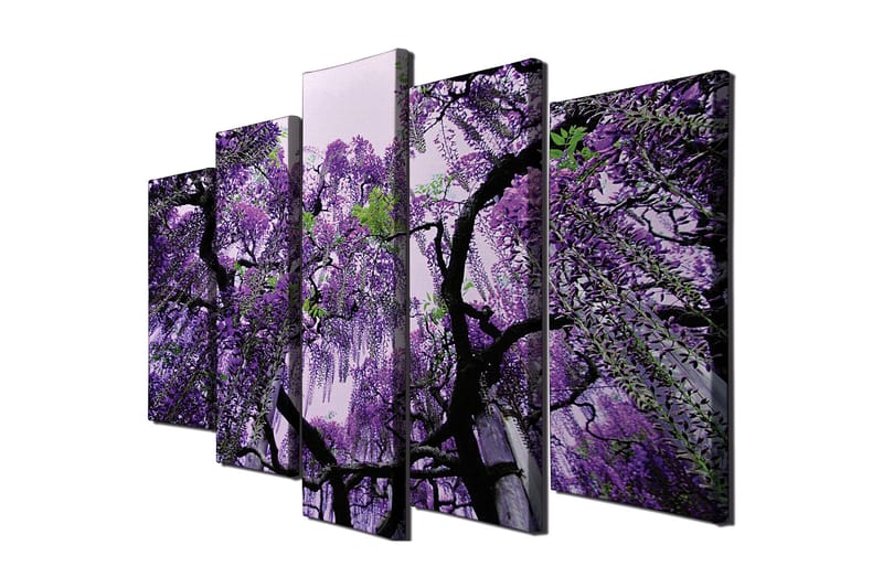 Stor Canvastavla i 5 delar 105x70 cm - Lila blomsterhäng av wisteria - Lila / Grön / Svart - Inredning - Tavlor & posters - Canvastavla