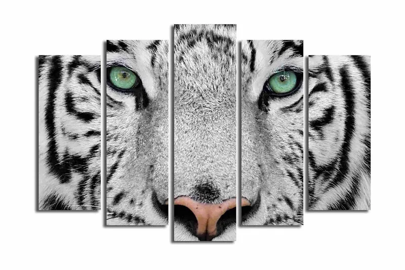 Stor Canvastavla i 5 delar 105x70 cm - Närbild av en vit tiger med intensiva ögon - Vit / Svart / Grön - Inredning - Tavlor & posters - Canvastavla