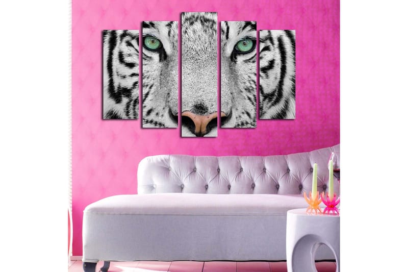 Stor Canvastavla i 5 delar 105x70 cm - Närbild av en vit tiger med intensiva ögon - Vit / Svart / Grön - Inredning - Tavlor & posters - Canvastavla
