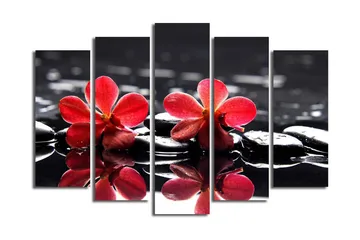 Stor Canvastavla i 5 delar 105x70 cm - Röda blommor på svarta stenar i vatten - Röd / Svart - Inredning - Tavlor & posters - Canvastavla
