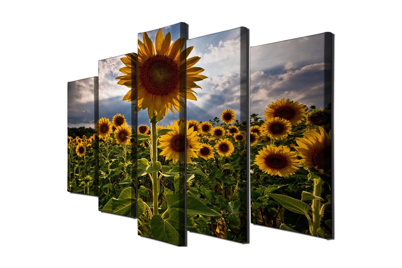 Stor Canvastavla i 5 delar 105x70 cm - Soliga solrosor i en blomstrande fält - Gul / Grön / Brun - Inredning - Tavlor & posters - Canvastavla