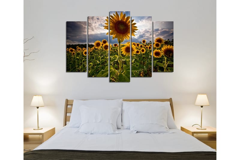 Stor Canvastavla i 5 delar 105x70 cm - Soliga solrosor i en blomstrande fält - Gul / Grön / Brun - Inredning - Tavlor & posters - Canvastavla