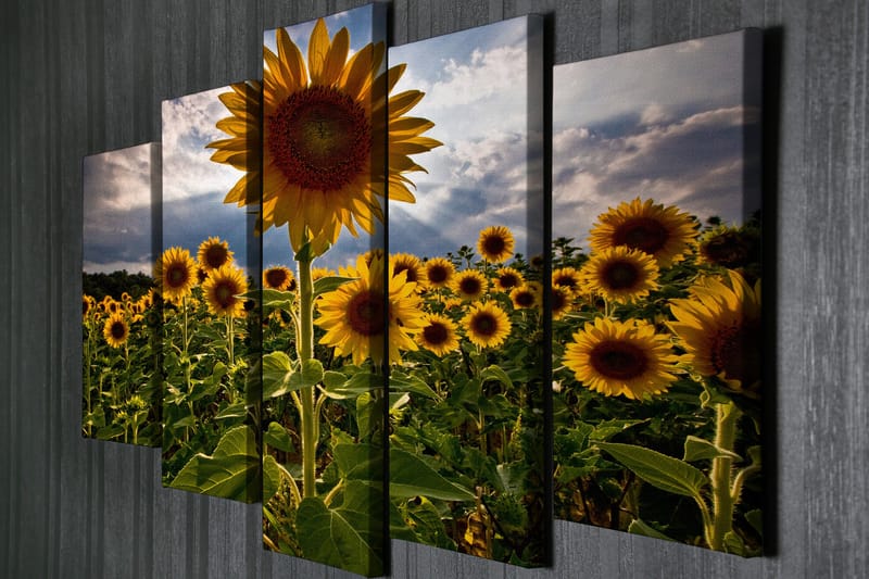 Stor Canvastavla i 5 delar 105x70 cm - Soliga solrosor i en blomstrande fält - Gul / Grön / Brun - Inredning - Tavlor & posters - Canvastavla
