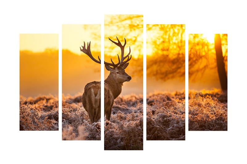 Stor Canvastavla i 5 delar 105x70 cm - Ståtlig älg i soluppgångens gyllene ljus - Guld / Brunt / Beige - Inredning - Tavlor & posters - Canvastavla