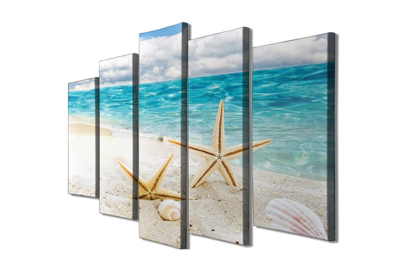 Stor Canvastavla i 5 delar 105x70 cm - Stjärnformade snäckor på en sandstrand vid havet - Blå / Beige / Vit - Inredning - Tavlor & posters - Canvastavla