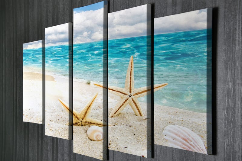 Stor Canvastavla i 5 delar 105x70 cm - Stjärnformade snäckor på en sandstrand vid havet - Blå / Beige / Vit - Inredning - Tavlor & posters - Canvastavla