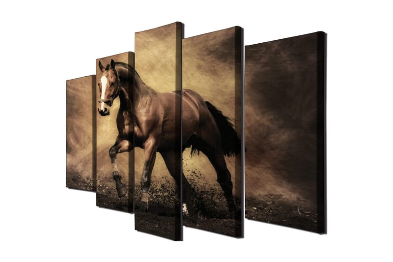 Stor Canvastavla i 5 delar 105x70 cm - Stolt häst i rörelse - Mörkbrun / Beige / Svart - Inredning - Tavlor & posters - Canvastavla