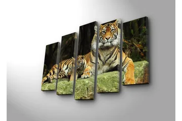 Stor Canvastavla i 5 delar 105x70 cm - Stolt tiger med unge som vilar på en sten - Orange / Svart / Beige - Inredning - Tavlor & posters - Canvastavla