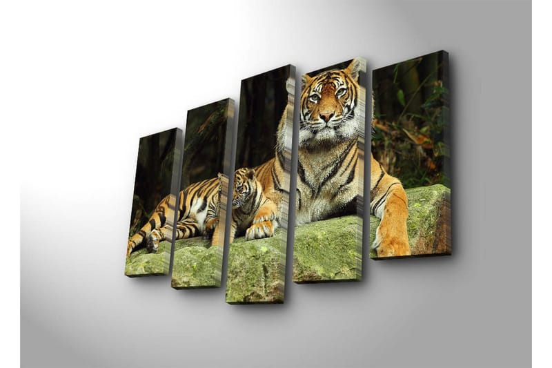 Stor Canvastavla i 5 delar 105x70 cm - Stolt tiger med unge som vilar på en sten - Orange / Svart / Beige - Inredning - Tavlor & posters - Canvastavla