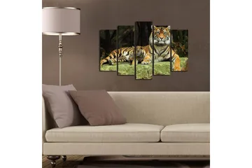 Stor Canvastavla i 5 delar 105x70 cm - Stolt tiger med unge som vilar på en sten - Orange / Svart / Beige - Inredning - Tavlor & posters - Canvastavla