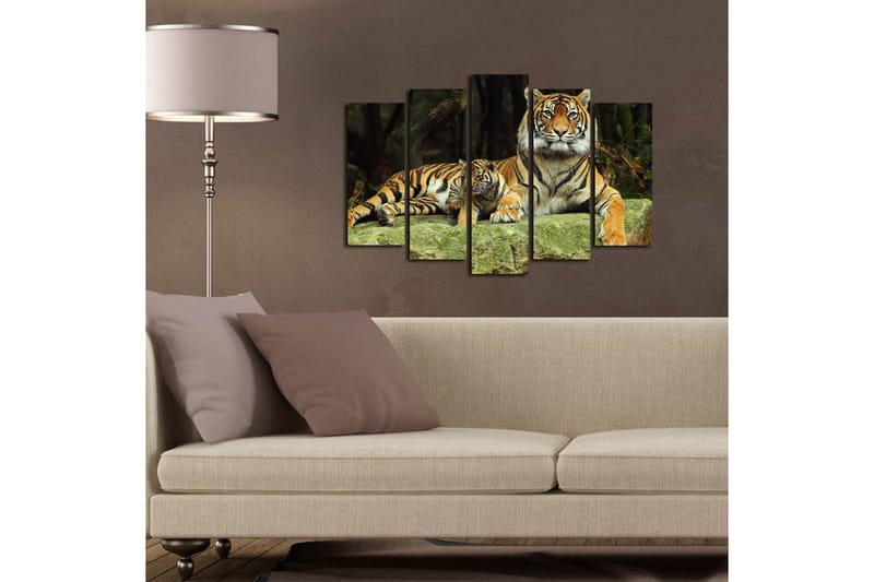 Stor Canvastavla i 5 delar 105x70 cm - Stolt tiger med unge som vilar på en sten - Orange / Svart / Beige - Inredning - Tavlor & posters - Canvastavla
