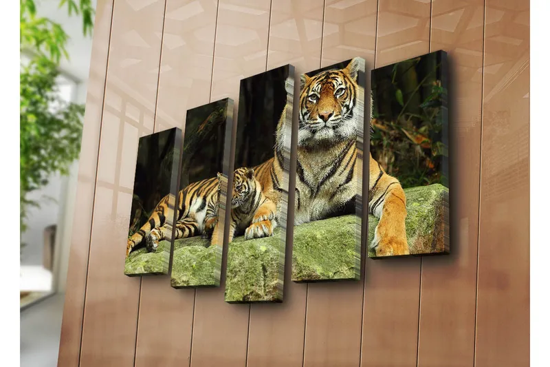 Stor Canvastavla i 5 delar 105x70 cm - Stolt tiger med unge som vilar på en sten - Orange / Svart / Beige - Inredning - Tavlor & posters - Canvastavla