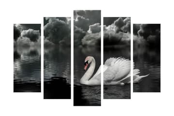 Stor Canvastavla i 5 delar 105x70 cm - Svart och vit svan som simmar i en spegelblanka sjö under dramatiska moln - Vit / Svart / Grå - Inredning - Tavlor & posters - Canvastavla