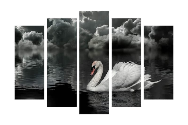 Stor Canvastavla i 5 delar 105x70 cm - Svart och vit svan som simmar i en spegelblanka sjö under dramatiska moln - Vit / Svart / Grå - Inredning - Tavlor & posters - Canvastavla