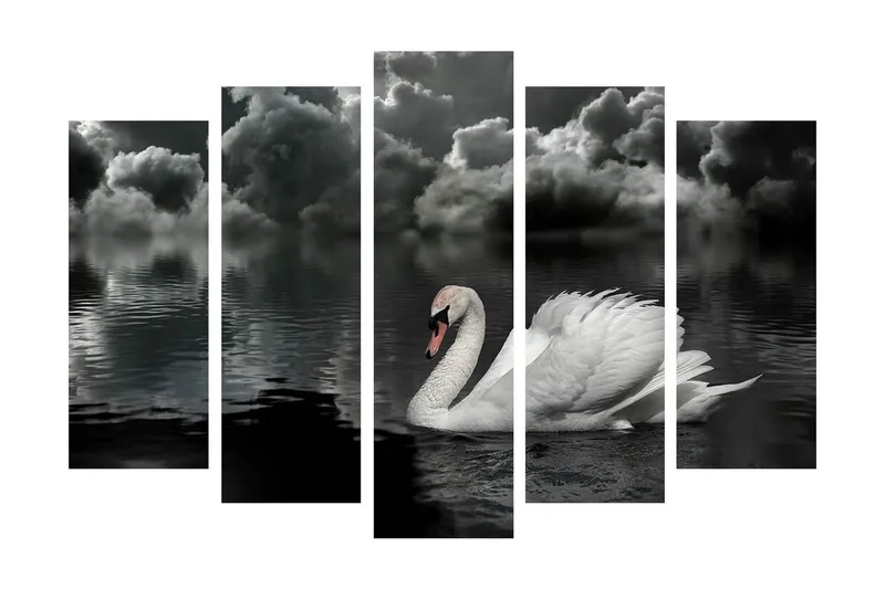 Stor Canvastavla i 5 delar 105x70 cm - Svart och vit svan som simmar i en spegelblanka sjö under dramatiska moln - Vit / Svart / Grå - Inredning - Tavlor & posters - Canvastavla