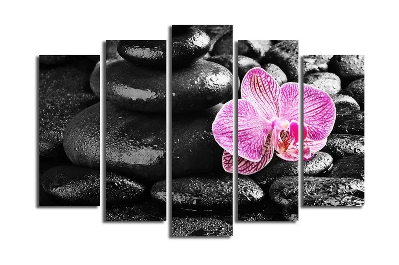 Stor Canvastavla i 5 delar 105x70 cm - Vacker orkidé som kontrasterar mot svarta stenar - Svart / Rosa - Inredning - Tavlor & posters - Canvastavla