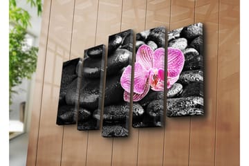Stor Canvastavla i 5 delar 105x70 cm - Vacker orkidé som kontrasterar mot svarta stenar - Svart / Rosa - Inredning - Tavlor & posters - Canvastavla