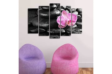 Stor Canvastavla i 5 delar 105x70 cm - Vacker orkidé som kontrasterar mot svarta stenar - Svart / Rosa - Inredning - Tavlor & posters - Canvastavla