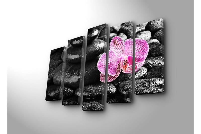 Stor Canvastavla i 5 delar 105x70 cm - Vacker orkidé som kontrasterar mot svarta stenar - Svart / Rosa - Inredning - Tavlor & posters - Canvastavla