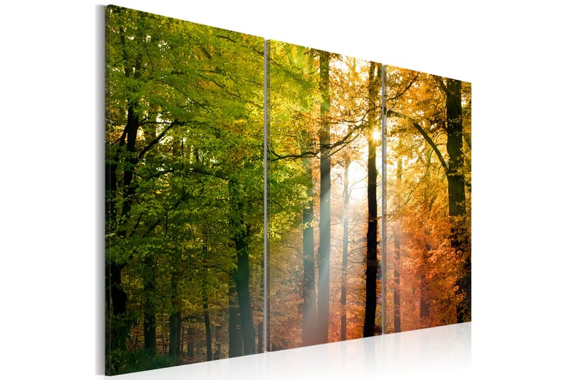 Tavla A Calm Autumn Forest 120x80 - Artgeist sp. z o. o. - Canvastavla