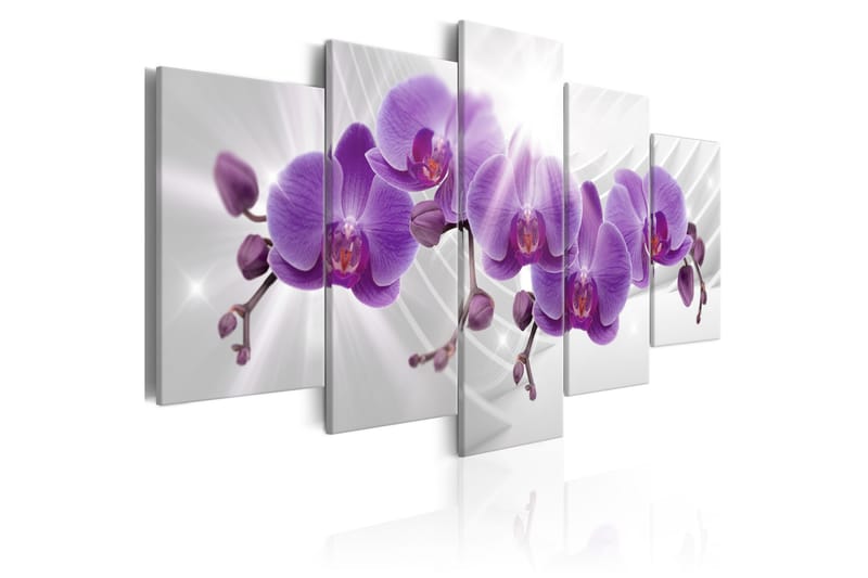 Tavla Abstract Garden Purple Orchis 100x50 - Artgeist sp. z o. o. - Canvastavla